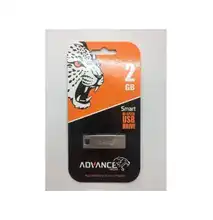 Flash Drive 2GB