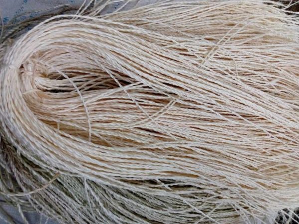 Sisal Fibre Warps