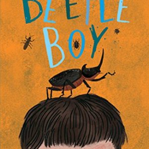 Beetle Boy