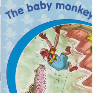 Read and Grow Moran ECD Baby Monkey 3