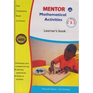 Mentor Mathematical activities Learners PP2
