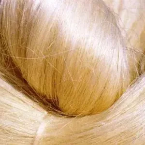 Raw White Sisal Fibre