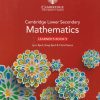 New Cambridge Lower Secondary Mathematics Learners Book with Digital Access