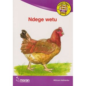 Panda Ngazi: Ndege wetu