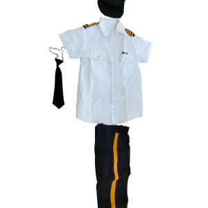 Pilot Costume