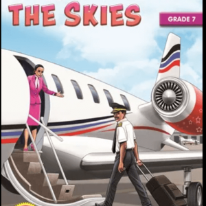 Vengeance in the Skies