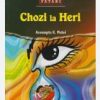 Chozi la Heri