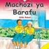 Machozi Ya Barafu