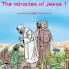 The Miracles of Jesus 1